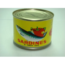 155g Dose Sardine mit bestem Preis